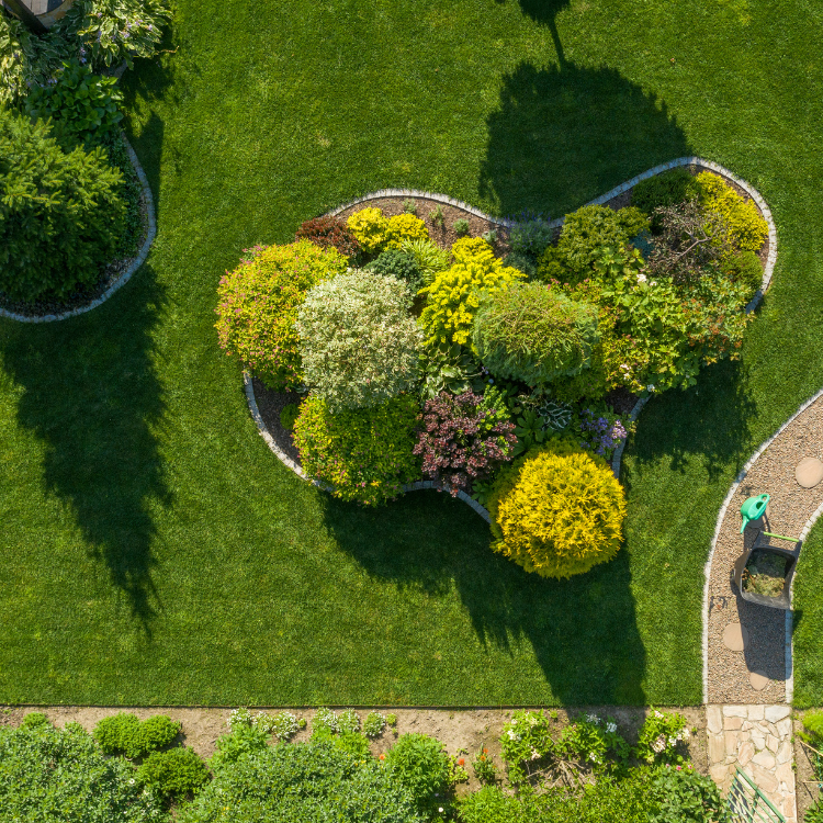 Tree Solutions in Michigan Tree Solutions in Michigan