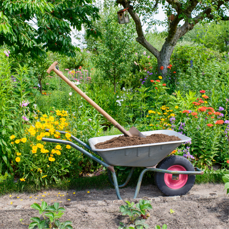 Tree Solutions in Michigan Tree Solutions in Michigan