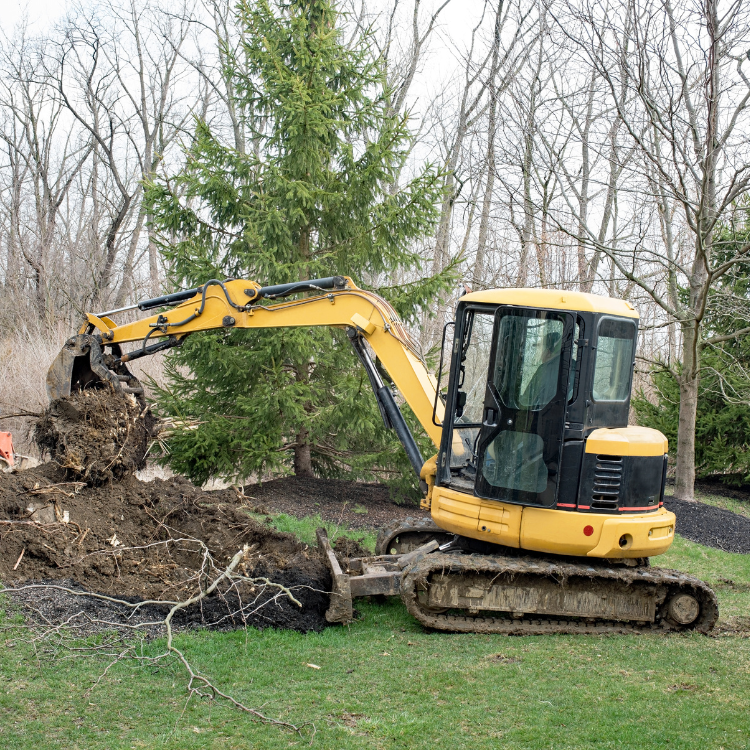 Tree Solutions in Michigan Tree Solutions in Michigan