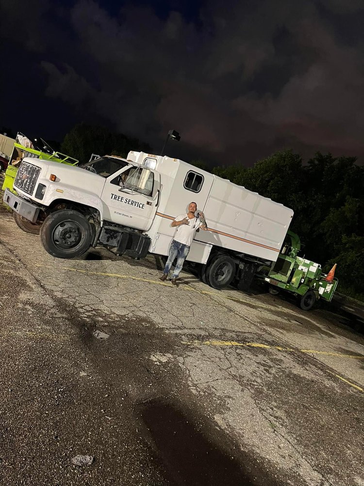 Tree Solutions in Michigan