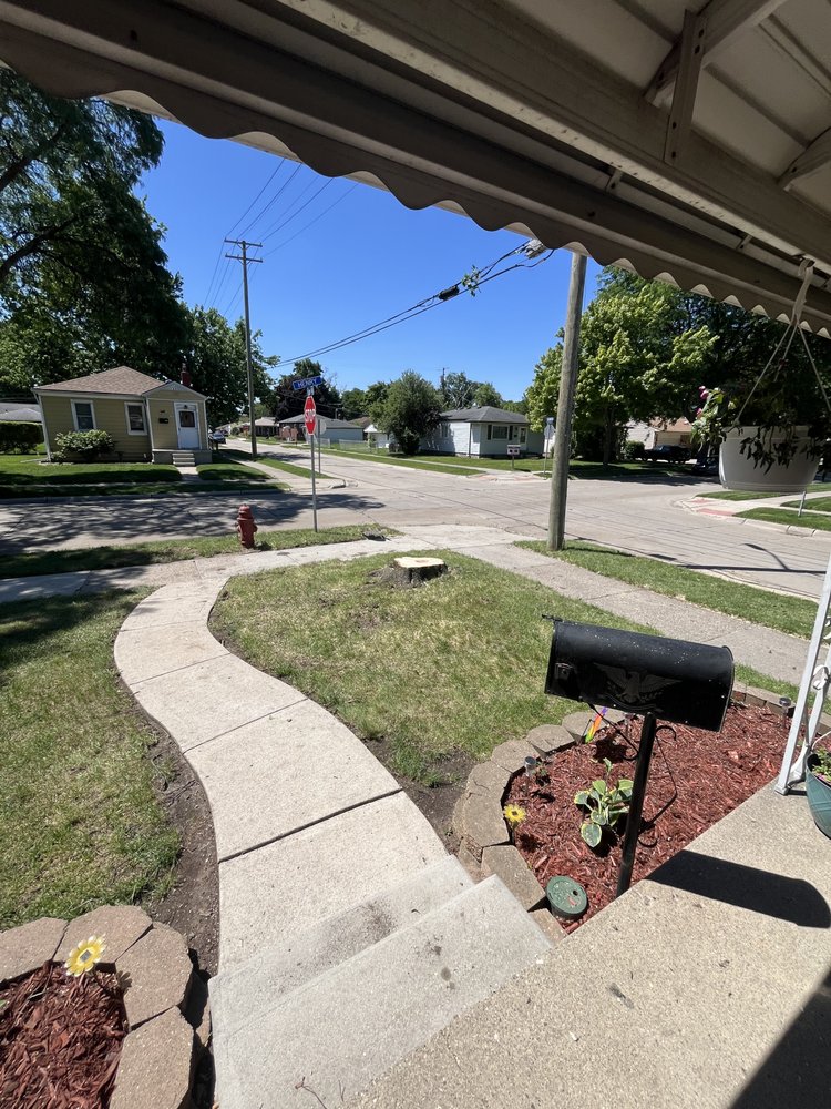 Tree Solutions in Michigan