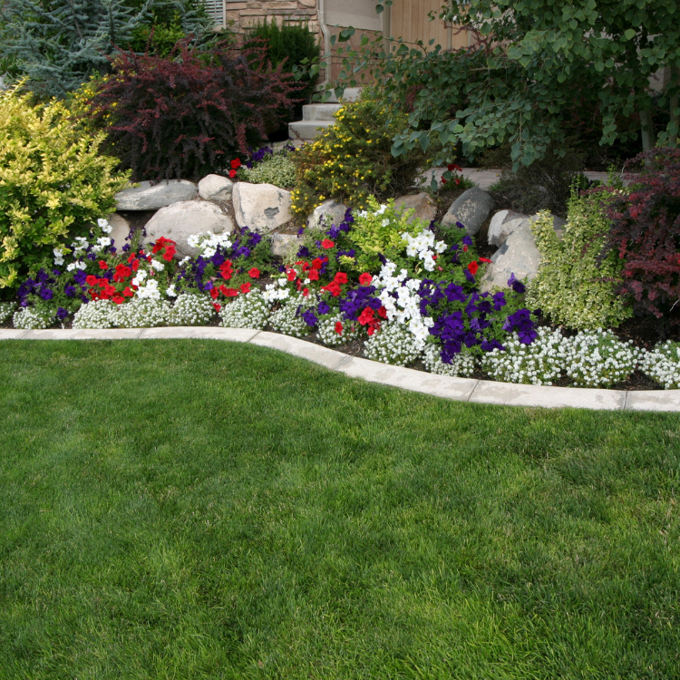Tree Solutions in Michigan Tree Solutions in Michigan
